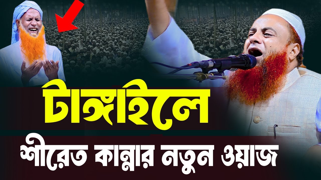 টাঙ্গাইলে শীতের কান্নার নতুন ওয়াজ ||মোতালিবুর রহমান সাইফী 2024|Waz Motalibur Rahman saifi 2024