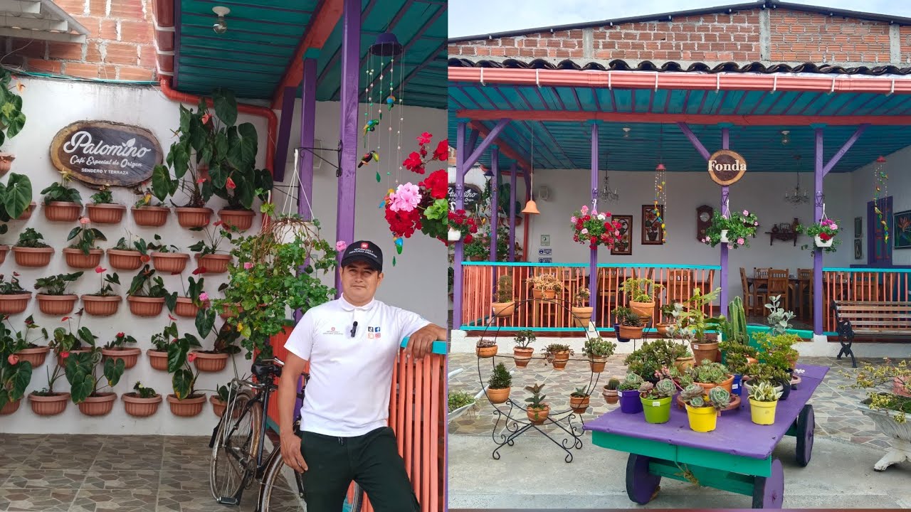 Un hermoso jardín .  Sevilla Valle del Cauca ,Café palomino .
