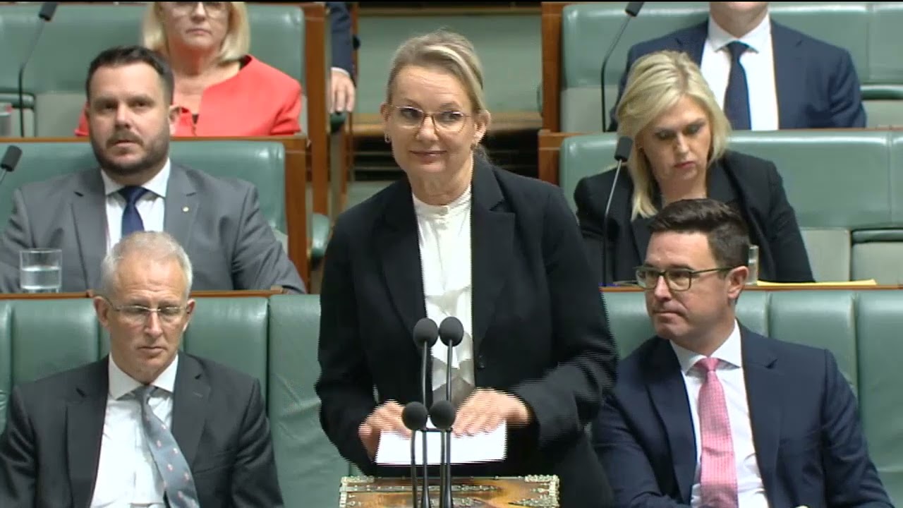 House Question Time 7 November 2024