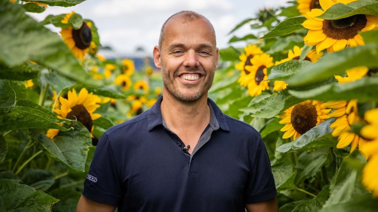 SUNFLOWERS | Takii Seed | Highlights with Sander