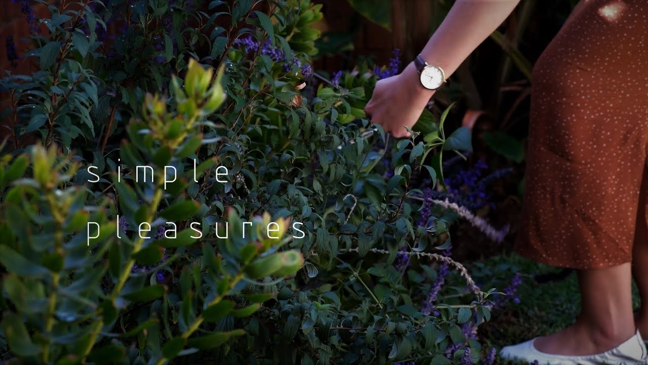 A quiet day at home - making body butter