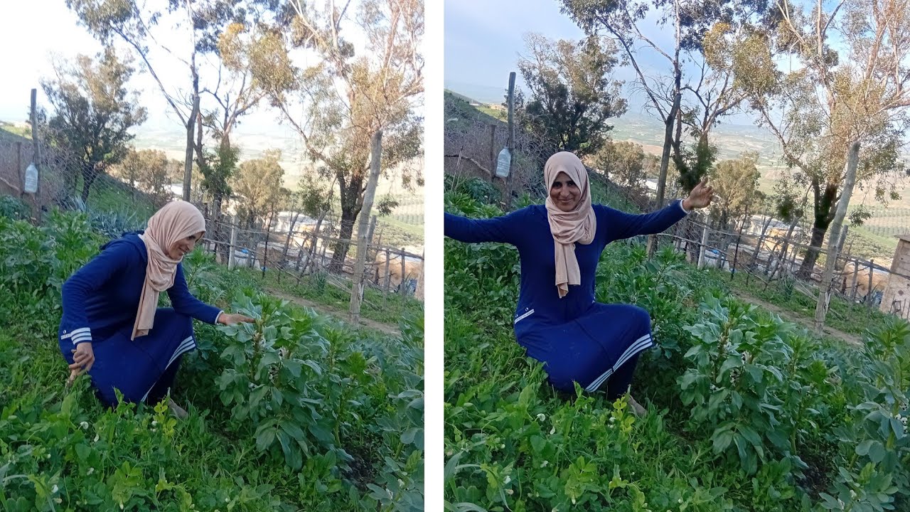 الحمد لله يا ربي على🤗 جردك ولات دايره 🤩ما شاء الله يا ربي هذا الخير ما كناش ناويين 🙆‍♀️عليه ربي كبير