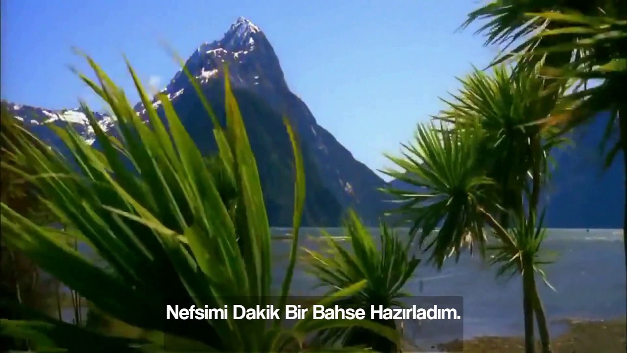 Tefekkertu Yevmen | Türkçe Altyazılı Arapça Neşid | تفكرت يوماً