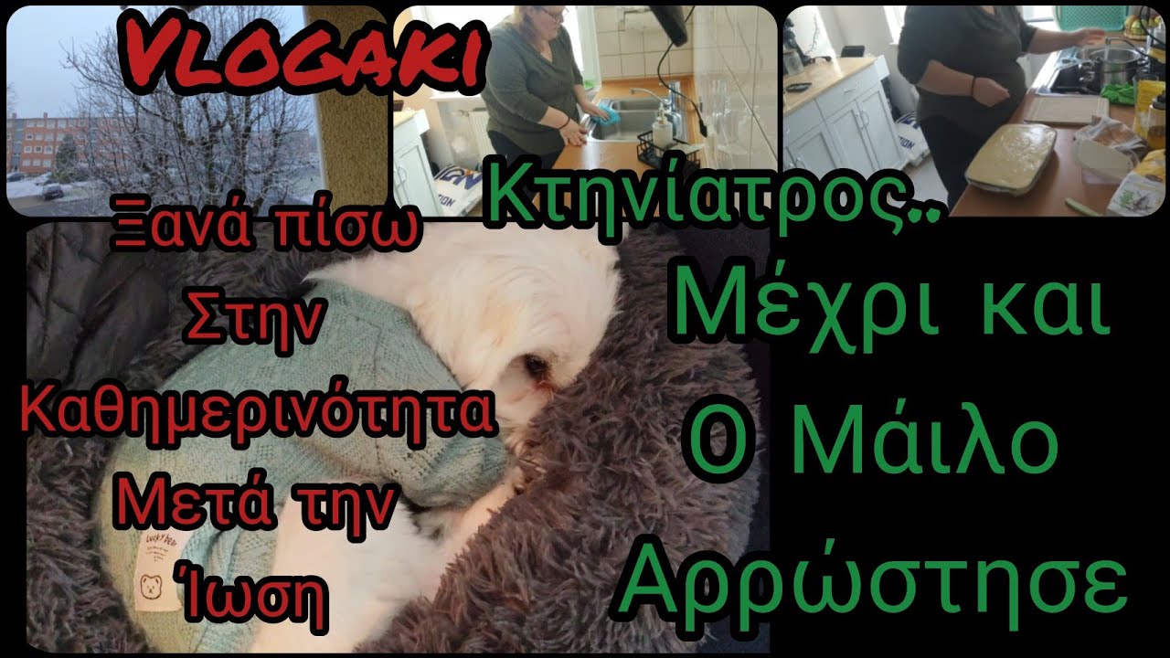 #vlogaki#πισω στην#καθημερινότητα#γαστρεντερίτιδα#κτηνίατρος#αρρώστησε ο#μάιλο😢Life in Germany