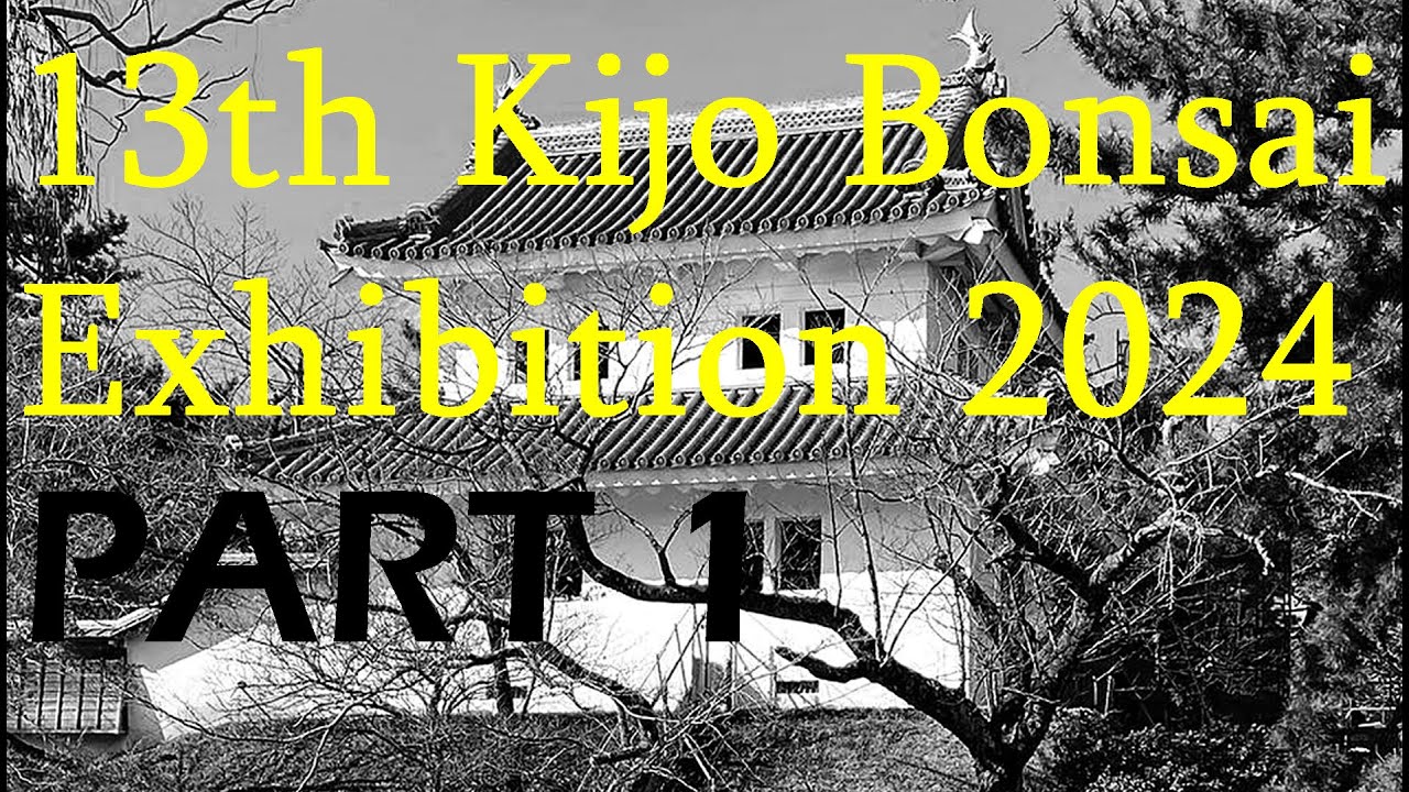13th Kijo Bonsai Exhibition - 第13回 亀城盆栽展 2024 January (PART 1)