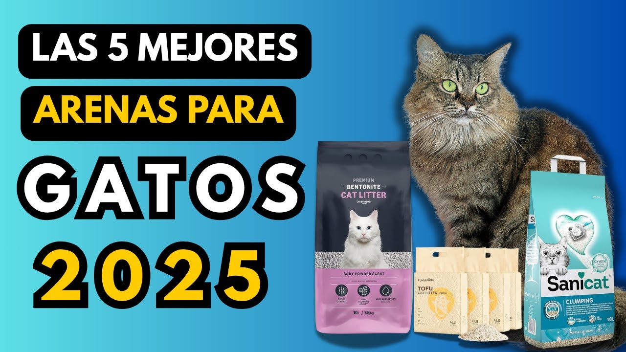 Mejores Arenas de Gatos españa 2026 🏆 | Sin Olores, Ecológicas y Calidad Precio