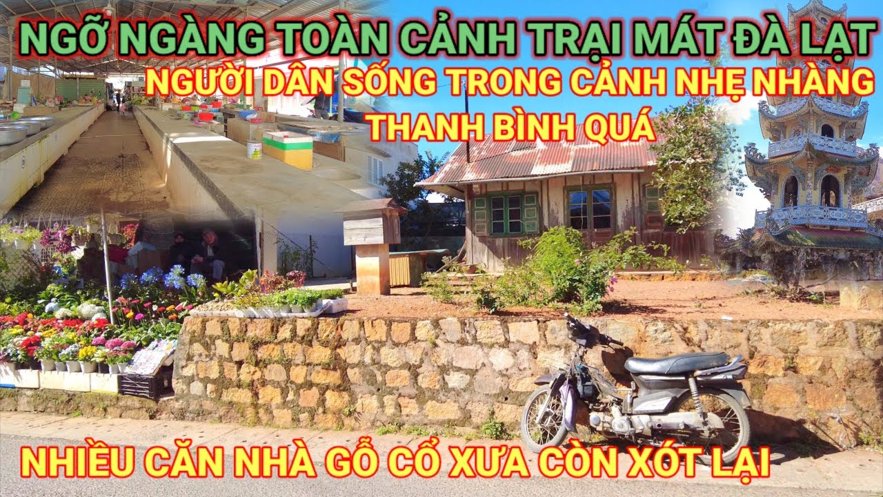 NGỠ NGÀNG TOÀN CẢNH TRẠI MÁT ĐÀ LẠT NGƯỜI DÂN SỐNG CẢNH NHẸ NHÀNG THANH BÌNH