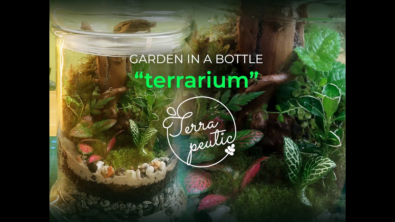 Garden in a Bottle Terrarium - ASMR
