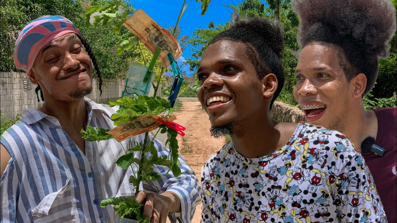 LA MATA DE DINERO 💵🤑  | NP JEY