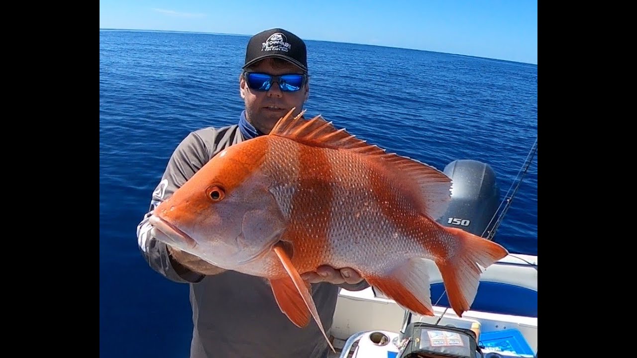 Fishing 1770 for Red Emperor, Coral Trout and Cod