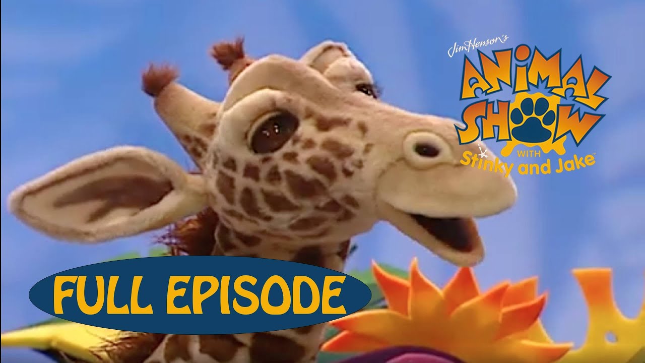 Animal Show | Giraffe 🦒 / Sloth | Jim Henson Family Hub | Kids Cartoon