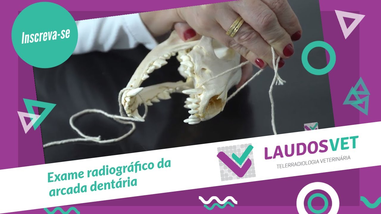 Exame radiográfico da arcada dentária