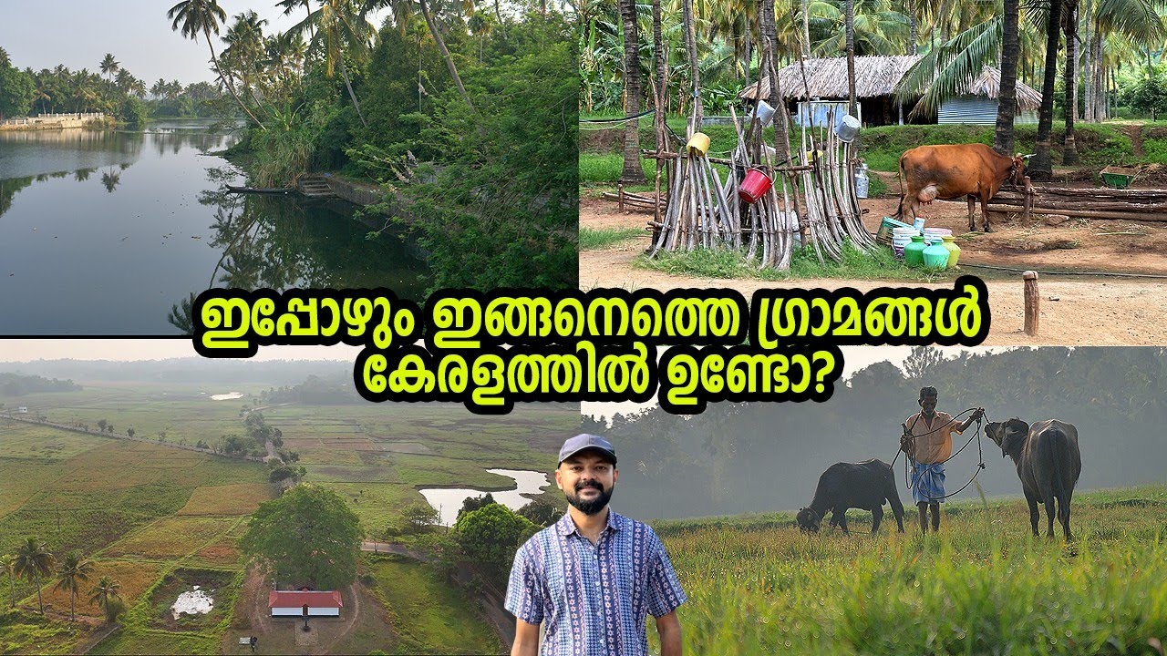 ഇതൊക്കെയാണ് കേരളത്തിലെ തനി നാടൻ ഗ്രാമങ്ങൾ.തുരുത്തു കളാൽ ചുറ്റപ്പെട്ട മനോഹരമായ ഗ്രാമം പുത്തൻവേലിക്കര