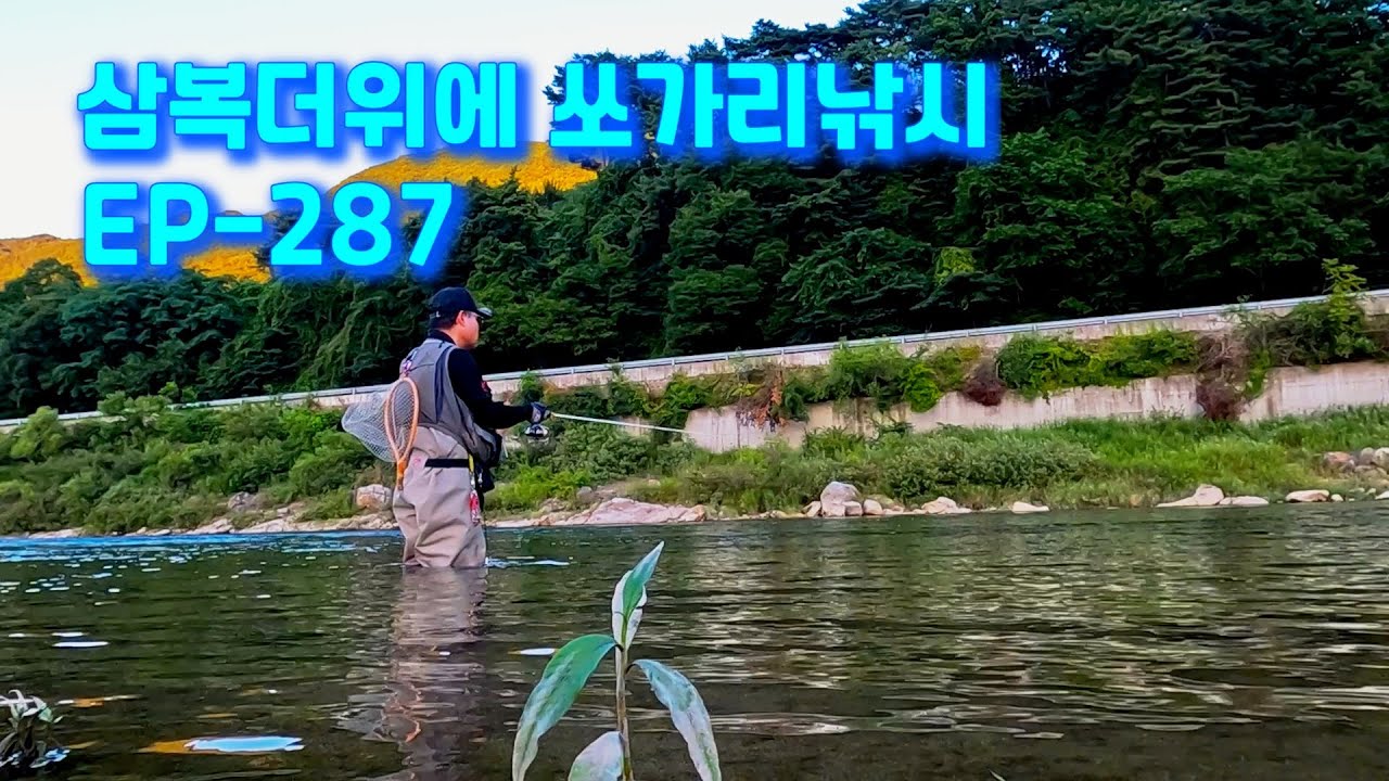 여름 삼복더위 쏘가리 패턴을 찾으로 물가로!  EP-287