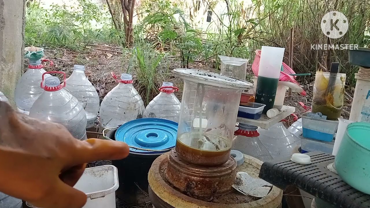 mengolah batuan mengandung emas sistem asam part 1,  082225967097 #refininggold #goldore