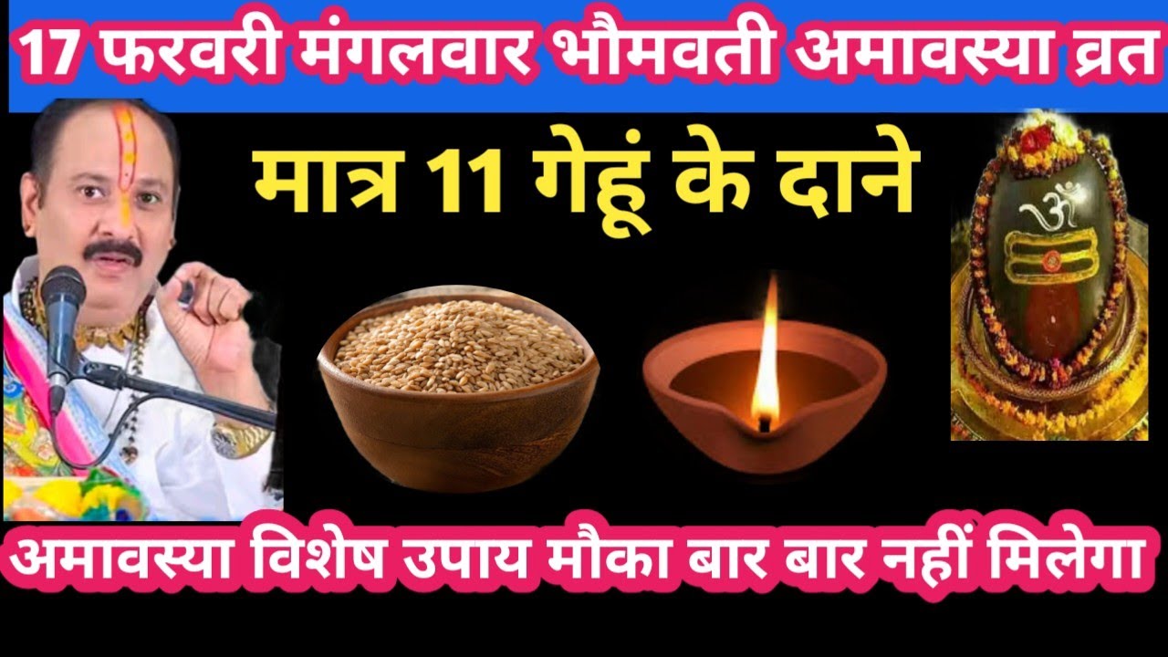17 फरवरी मंगलवार भौमवती अमावस्या व्रत 11 गेहूं के दाने उपाय #mangalwar#amavasya#upay#pradeepmishra