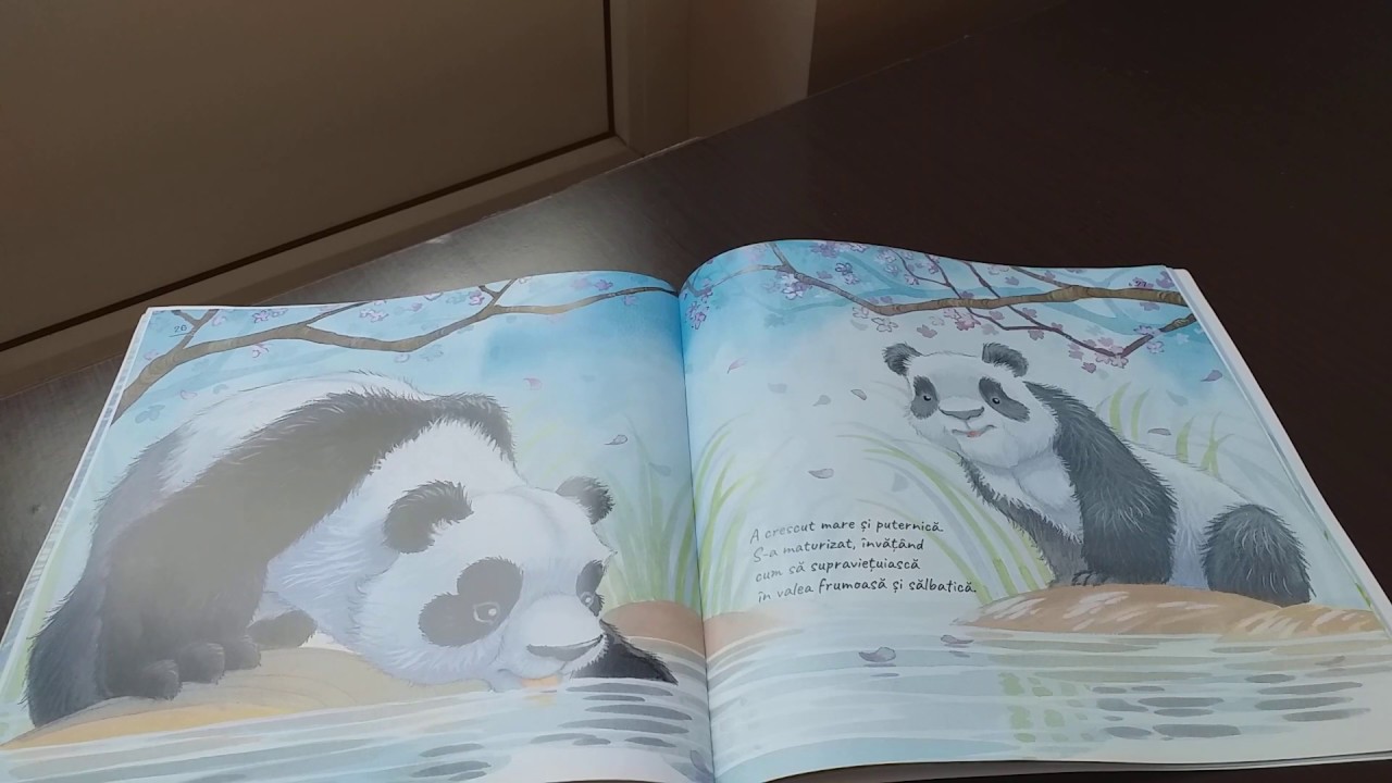 CE MĂ FACE SĂ MĂ SIMT FERICIT? - HEIDI SI DANIEL HOWART (Lectura: Anca Madalina Grosu)