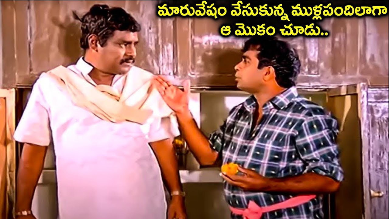 మారువేషం వేసుకున్న ముళ్లపందిలాగా ఆ మొకం చూడు.. | Kota & Brahmanadnam Comedy scenes Back To Back