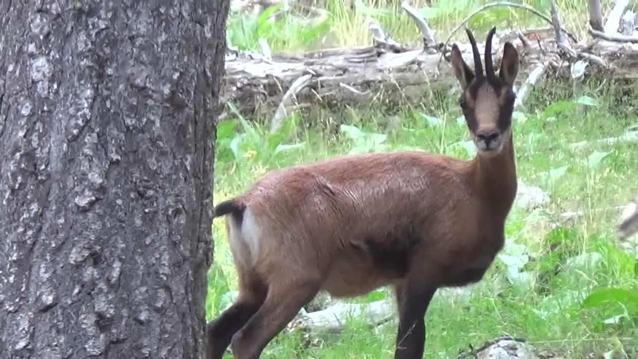 Gr 10 Merens Les Vals to Banyuls sur Mer