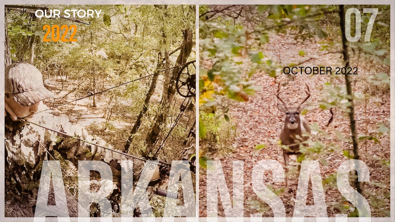 7 | Arkansas Giant | Deer Everywhere | Arkansas Bow Hunting | Our Story '22