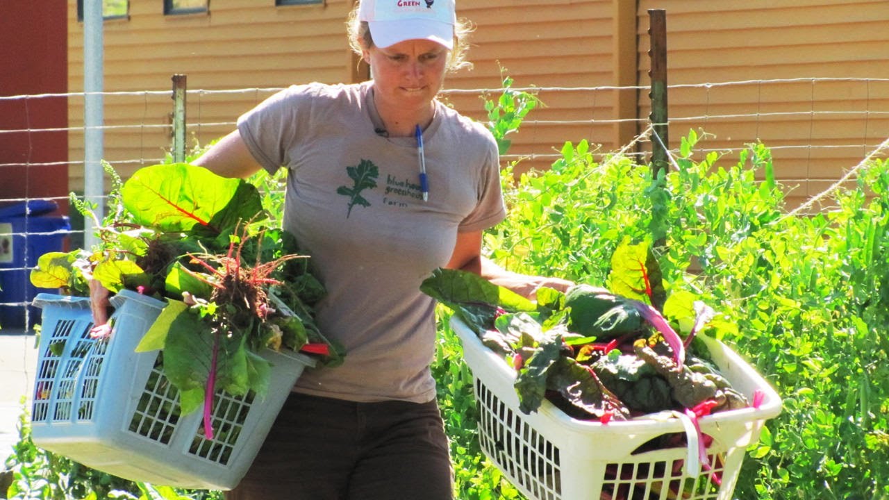 Navigating Urban Farming: A Portland Farmer's City-Centered Agriculture Journey