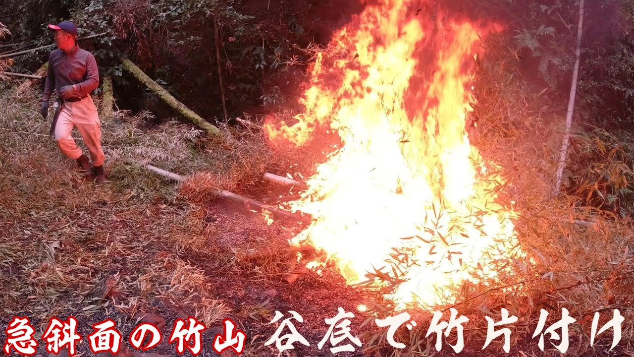 【急斜面の竹山、谷底で竹片付け（後半）】（竹林整備・野焼き）