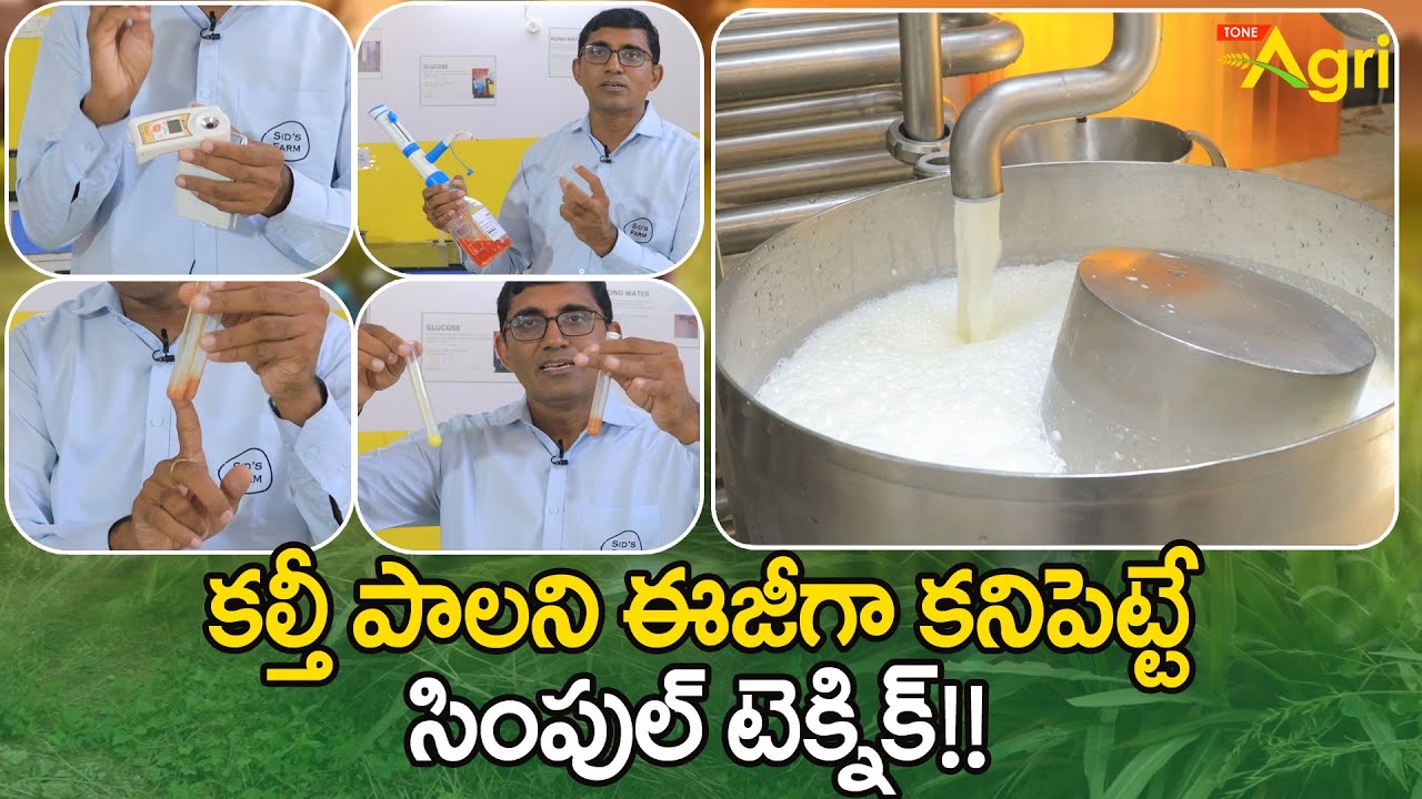 How to Check Adulterated Milk | కల్తీ పాలని ఈజీగా కనిపెట్టే సింపుల్ టెక్నిక్! SID's Farm | Tone Agri