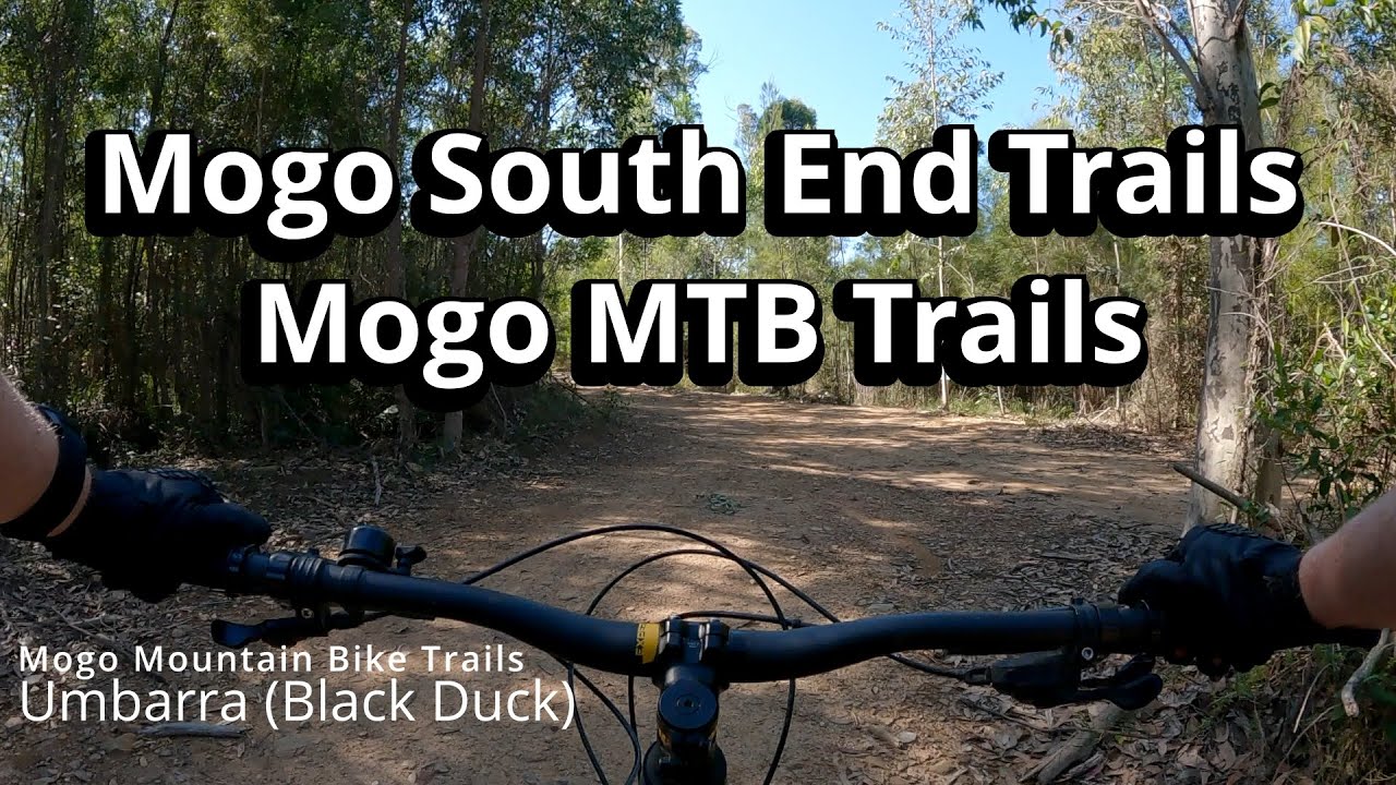 Mogo (South) Trail Hyperlapse, Mogo Mountain Bike Trails, Australia