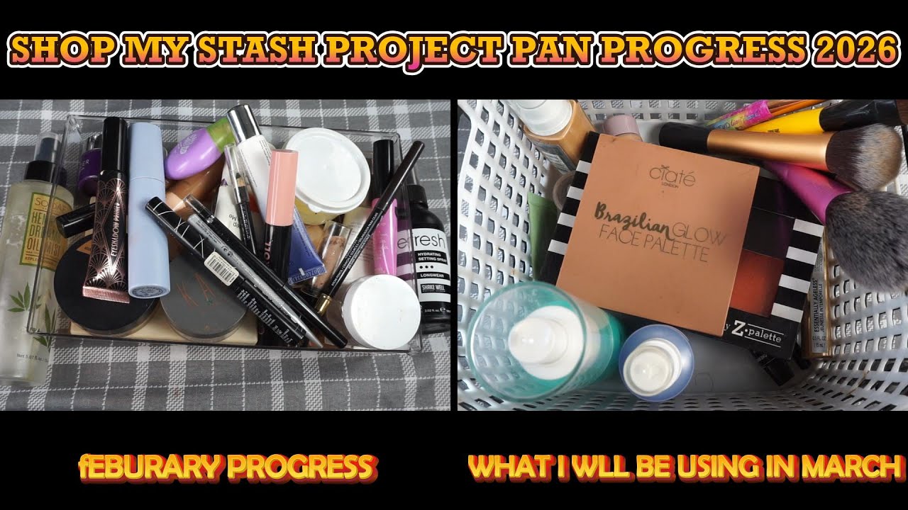 SHOP MY STASH PROJECT PAN PROGRESS 2026 FEB & MARCH #shopmystash #projectpan #projectpanupdate