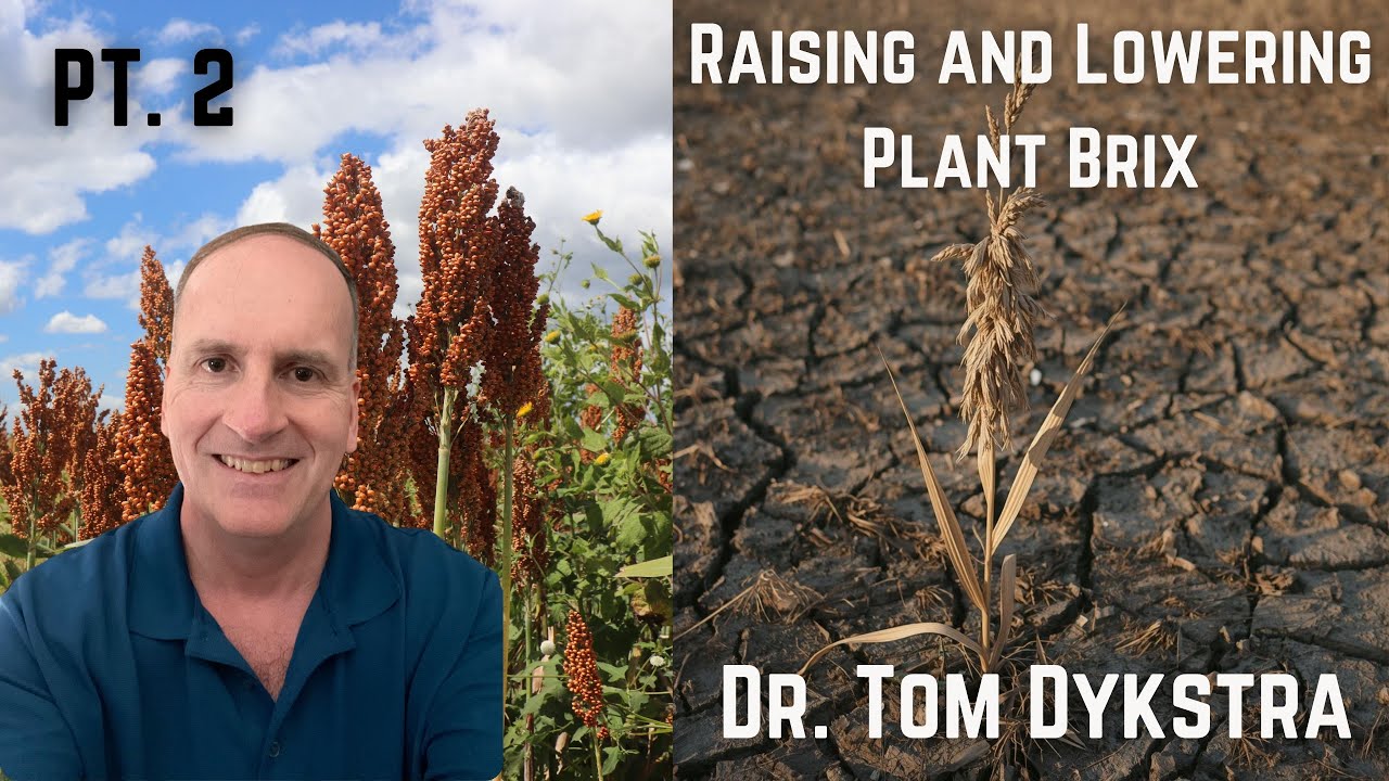 Доктор Том Дайкстра | Повышение и понижение индекса Брикса, часть 2