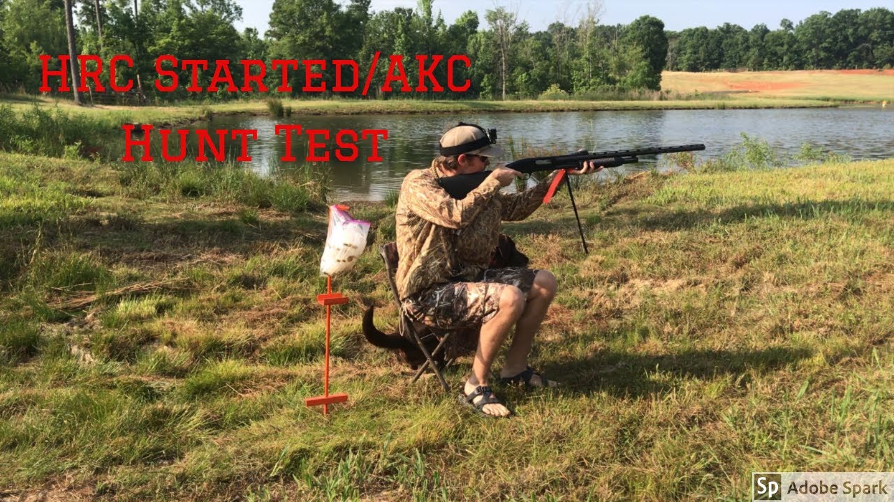 How to run a HRC Started/AKC Junior Hunt Test