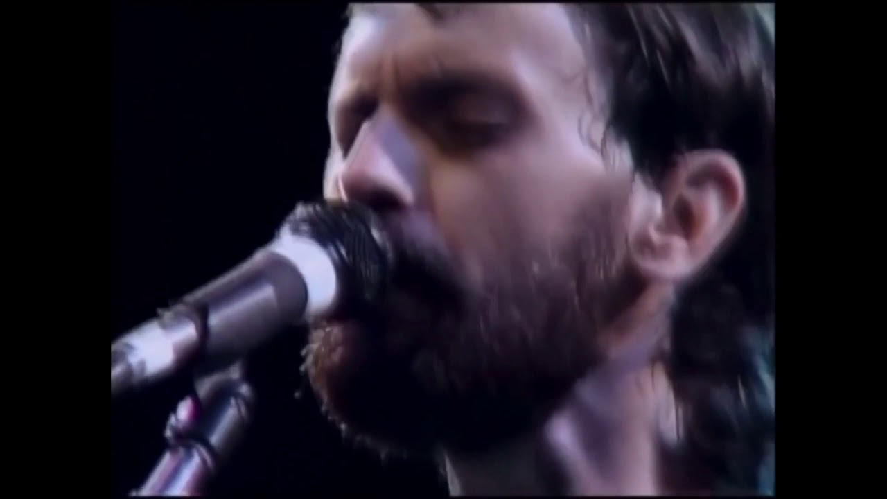 Take Me In Your Arms ( Farewell Tour / Greek Theater 1982 ) - The Doobie Brothers