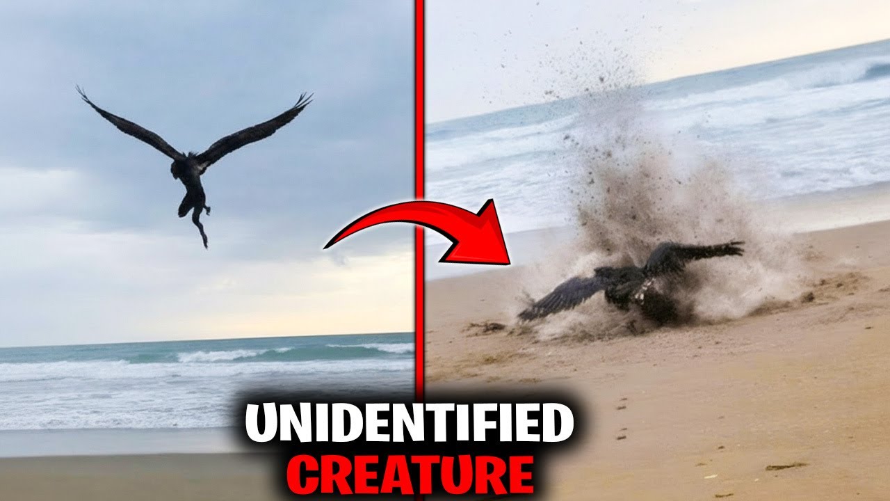 Are These Bizarre Sky Creatures a Sign Of Something Bigger? Here is the Shocking Truth!