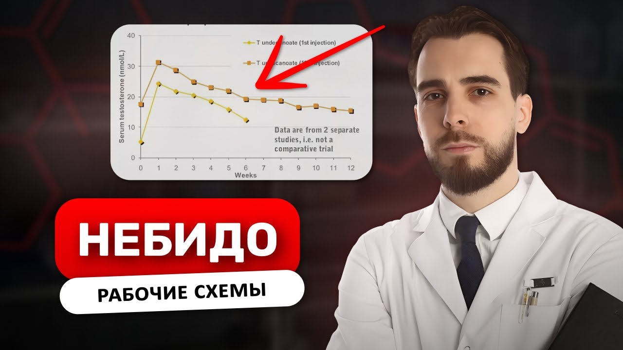 НЕБИДО. ПОЛНЫЙ ОБЗОР ТЕСТОСТЕРОН УНДЕКАНОАТ