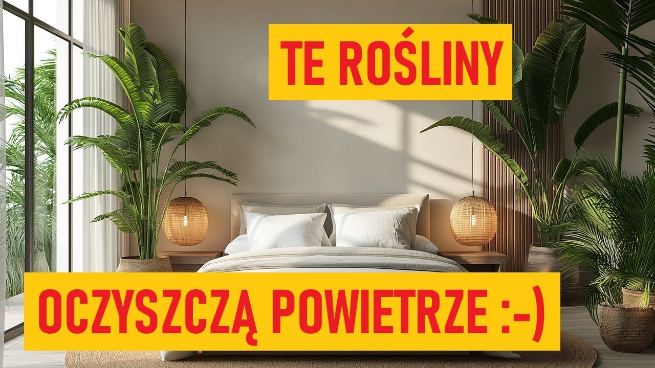 Kwiaty doniczkowe do sypialni. Przy nich dobrze się wyśpisz :-)