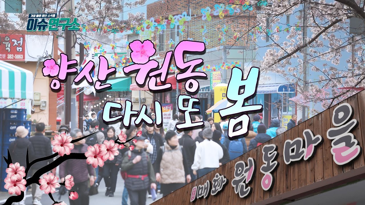 2025 이슈연구소 원동매화축제