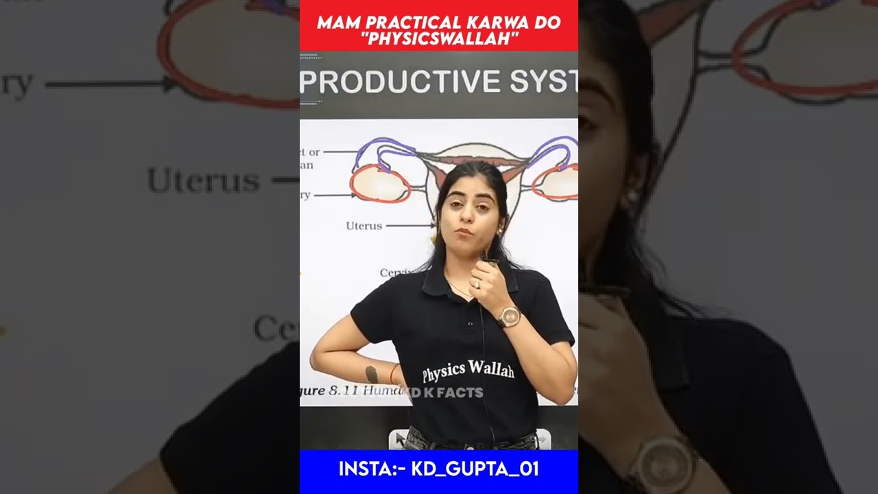 Mam 