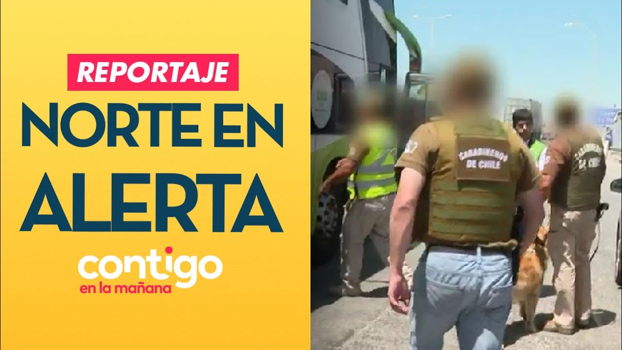 REPORTAJE | Norte en alerta: La guerra contra el crimen organizado | Contigo en la Mañana
