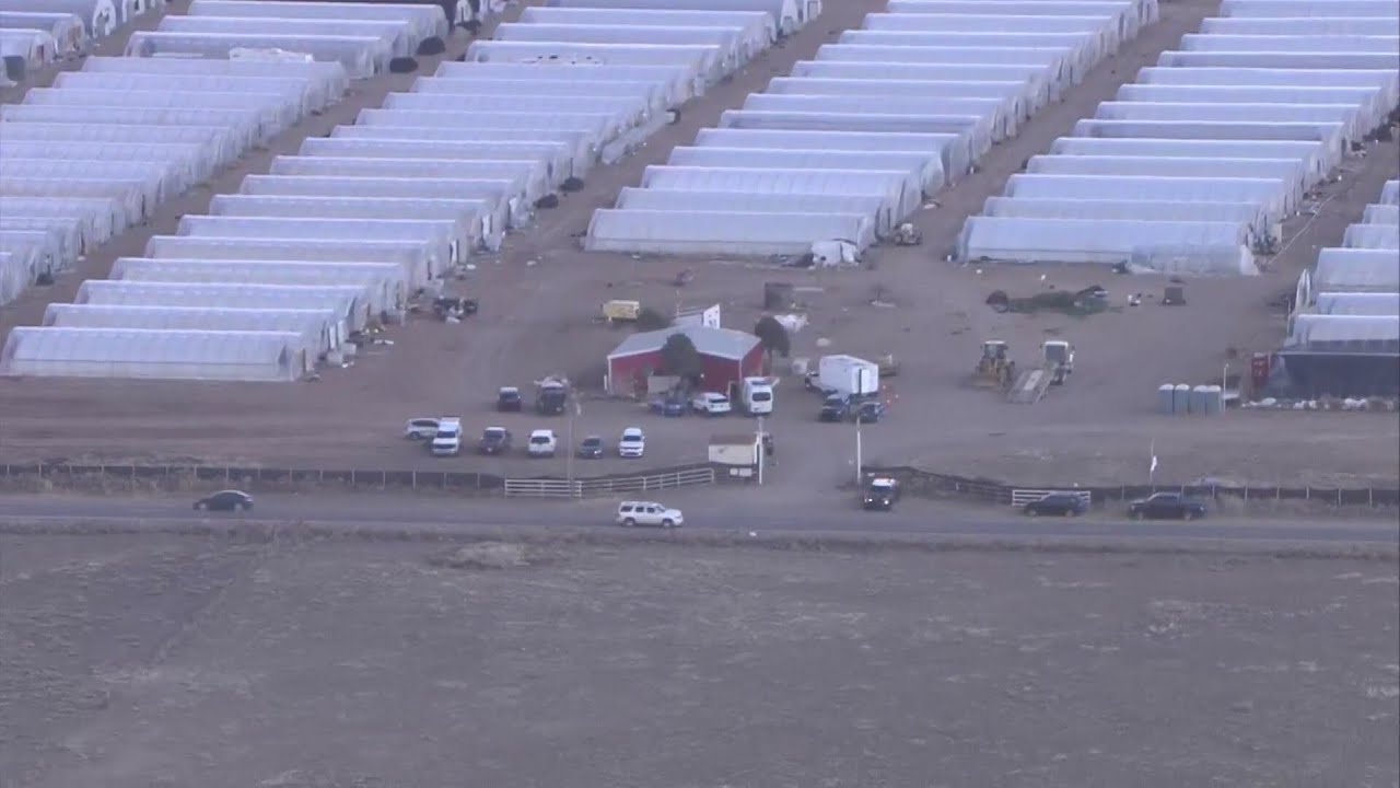 FBI investigates two marijuana-growing operations in Torrance County