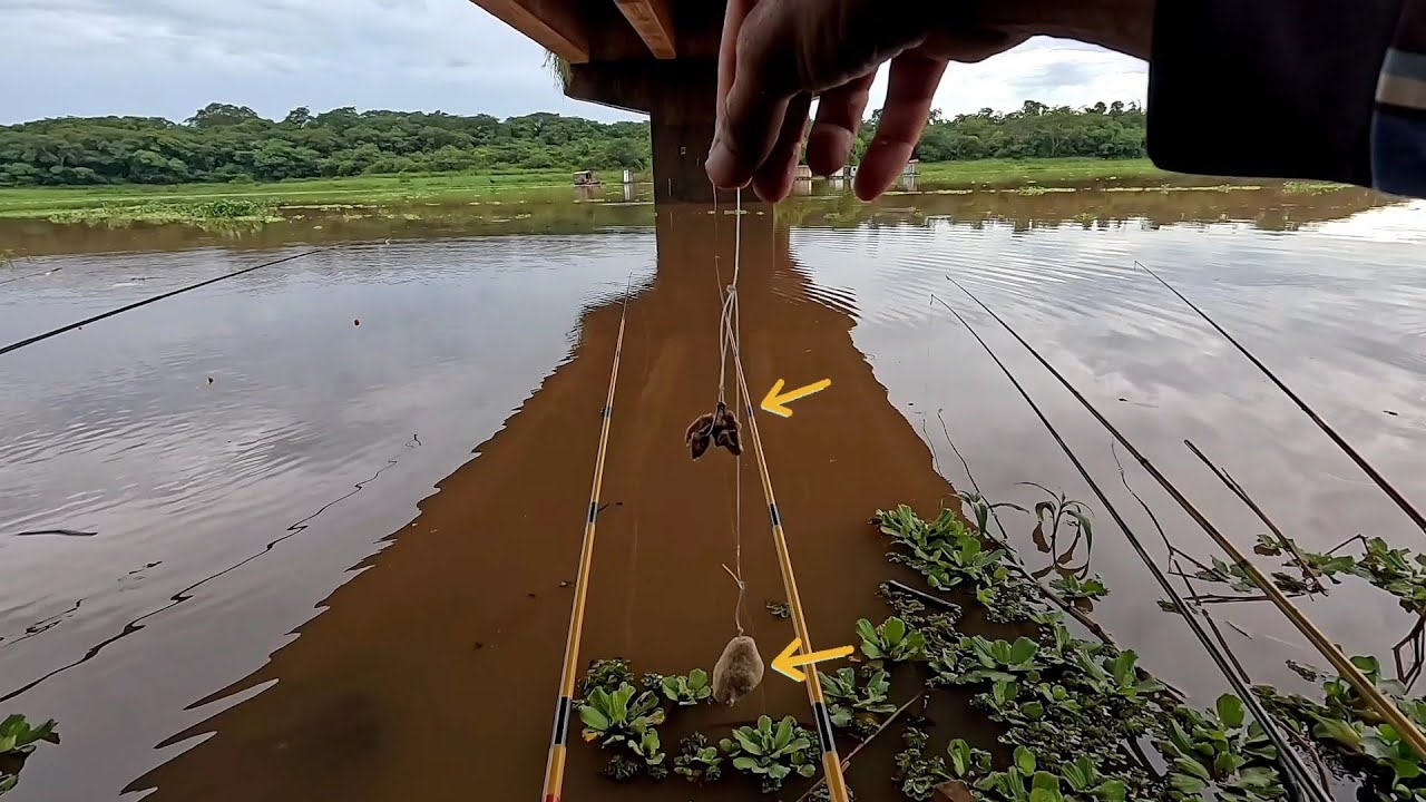 Pescaria de curimba no Rio turvo após a chuva a água ficou barrenta veja oque aconteceu 
