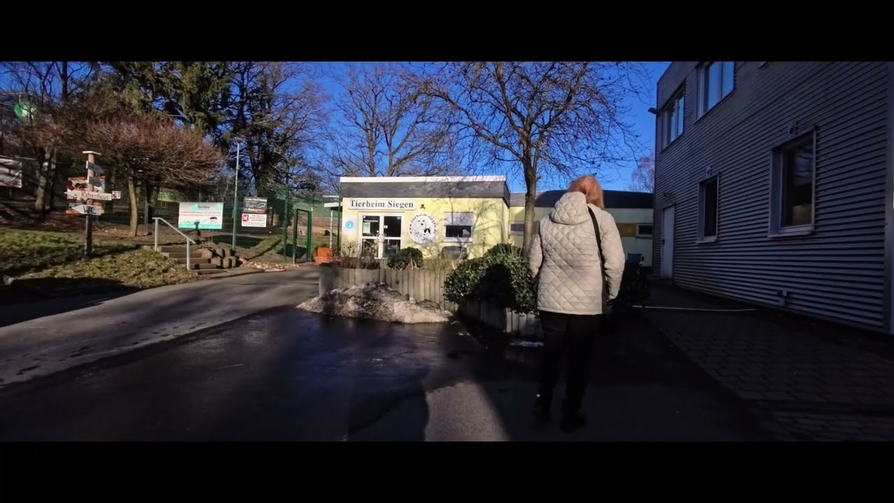 SIEGEN / TIERHEIM SIEGEN (NICHT VIEL) #1 - 4K / ULTRA HD / UHD 60 - INSTA 360 ACE PRO 2