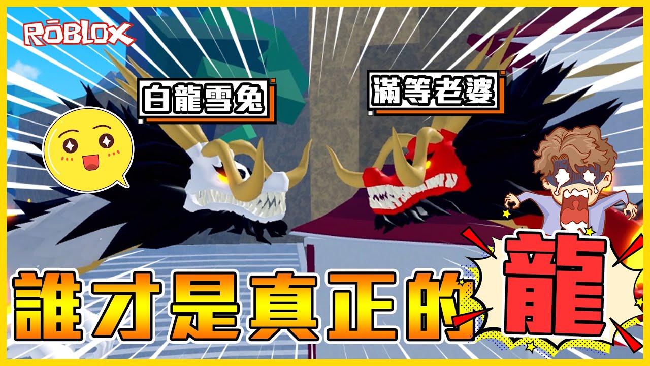 Roblox 🔥雙龍對決🔥「滿等老婆」VS「白龍雪兔」🤣兩個不專業PVP畫面「菜龍互噴」🐲🐲 不是不想連，是我抓不到😂😂【航海王模擬器🏴‍☠️ Blox Fruits】