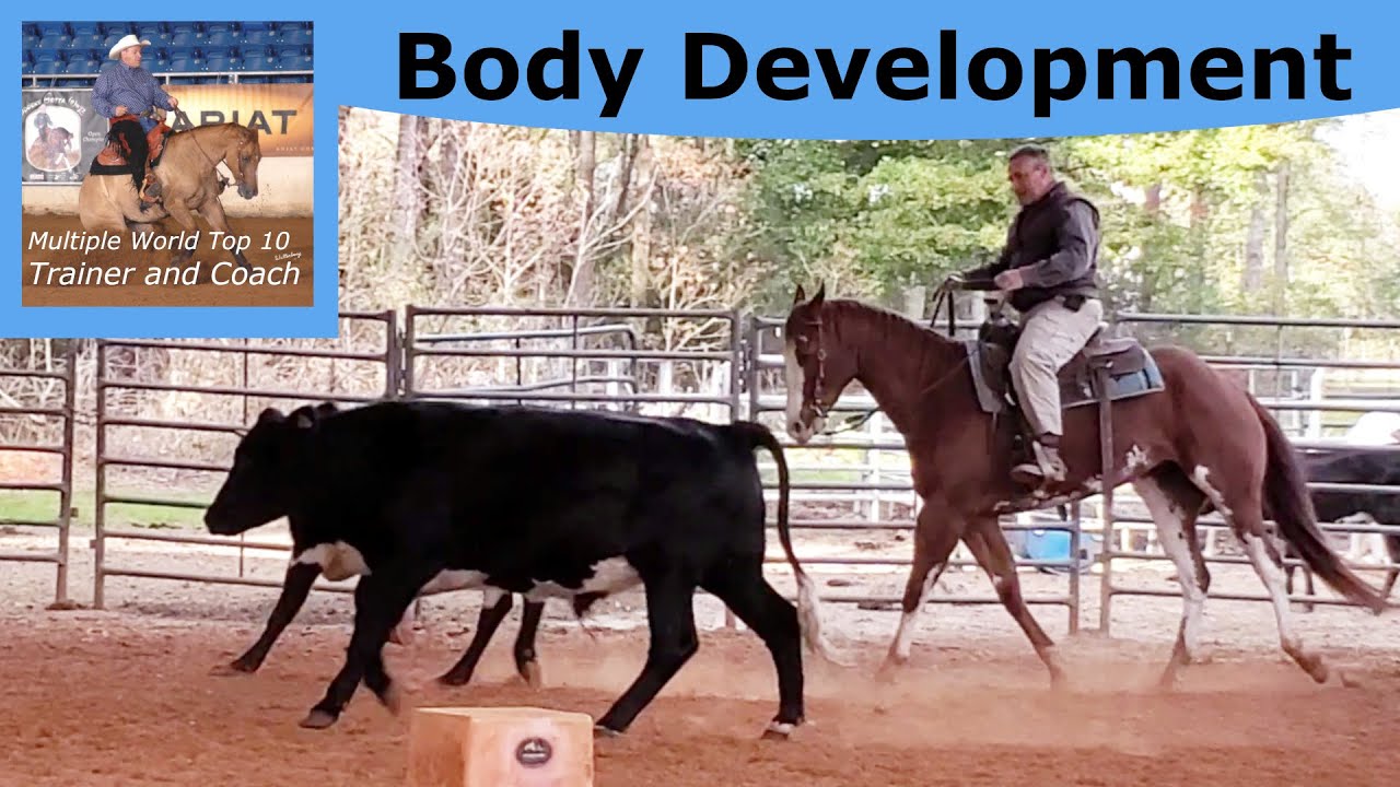 Body Development Does Not Come Symmetrically