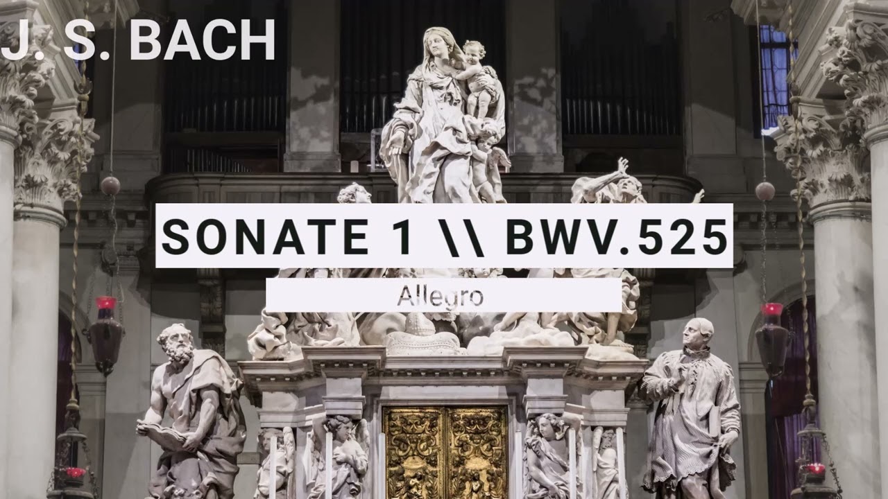 Johann Sebastian Bach - Organ Works (Lionel Rogg) |no.1| rec.1976