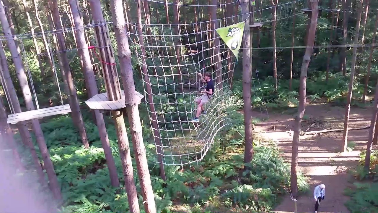 GoApe Crawley Tilgate Park