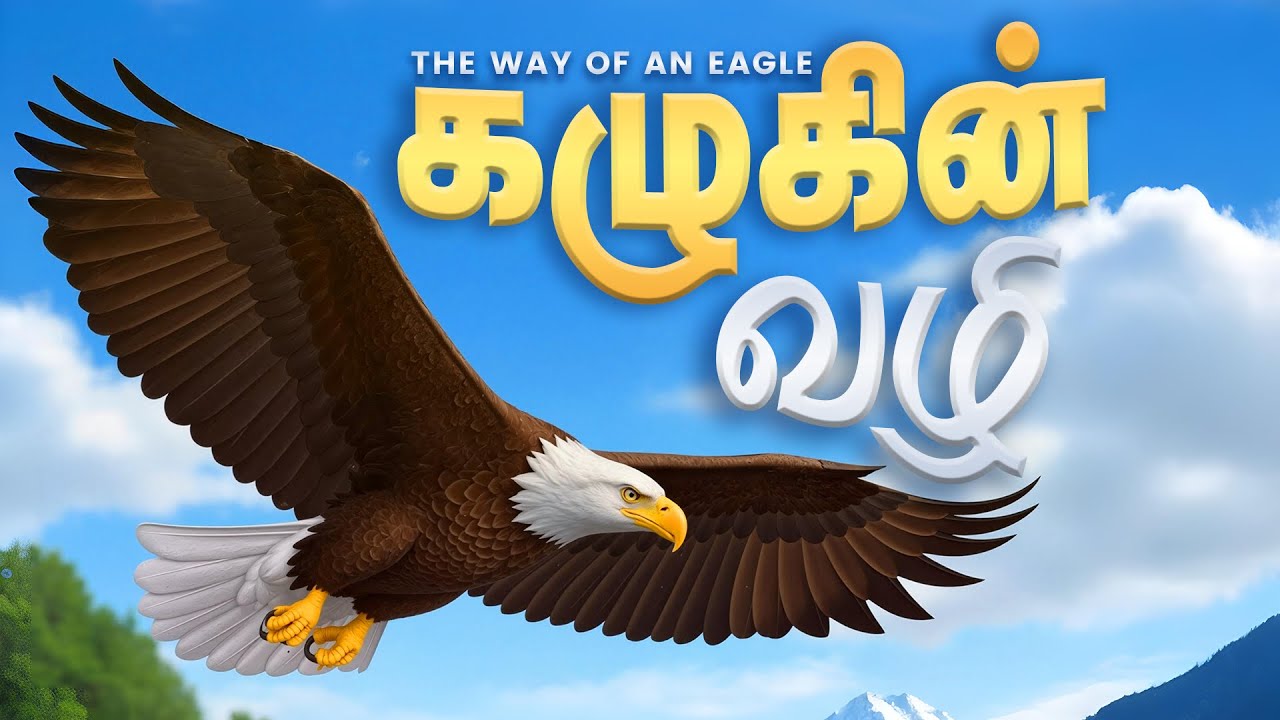 கழுகின் வழி - அகூர் | The Way Of an Eagle - The Sayings of Agur