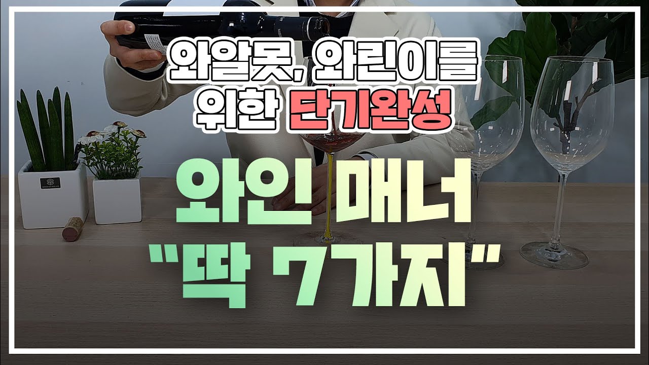 와인 초보도 