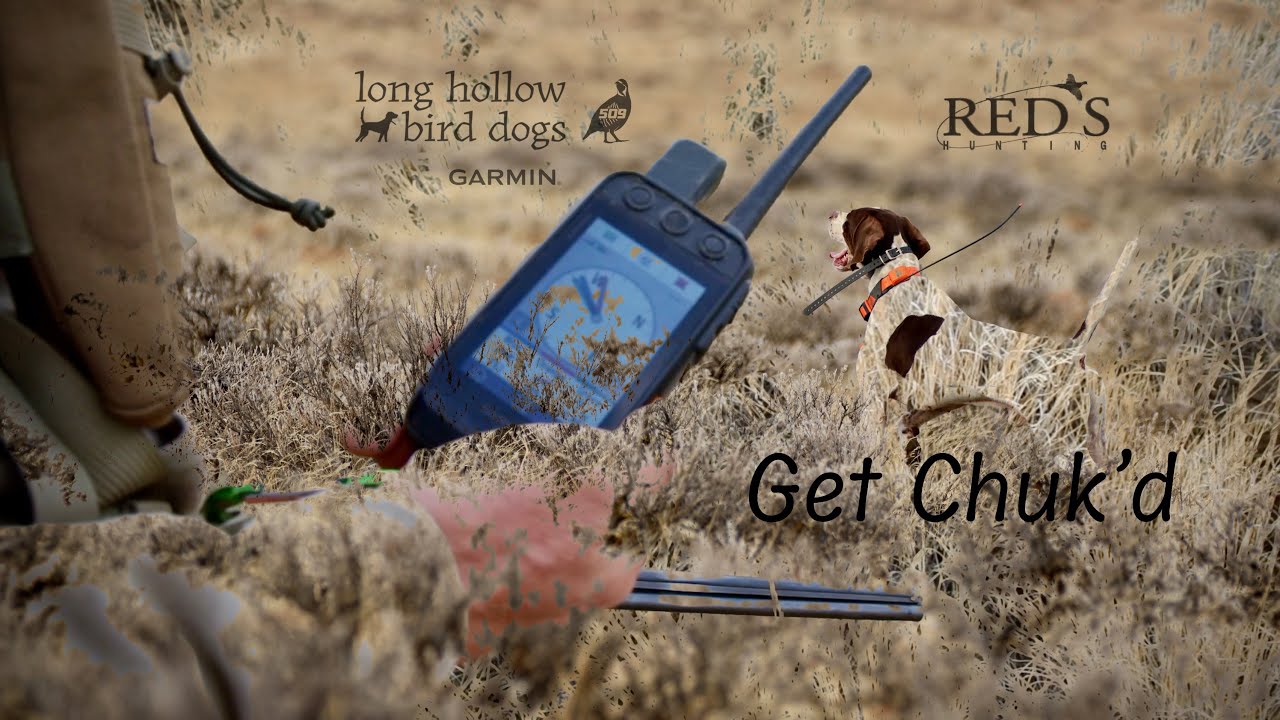 Get Chuk'd | Short | Episode 5