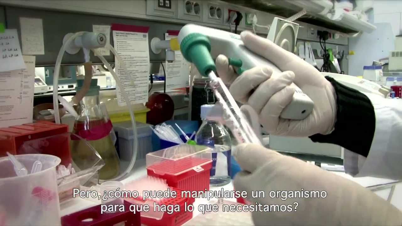 La biotecnología en nuestras vidas
