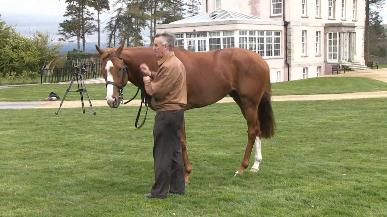 BCS TV - Jim Bolger on Dawn Approach